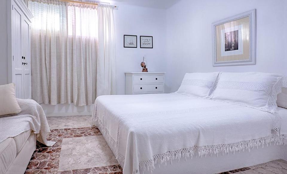 Apartment Luxury Living Nisos Vs Rhodes Town Rhodes City